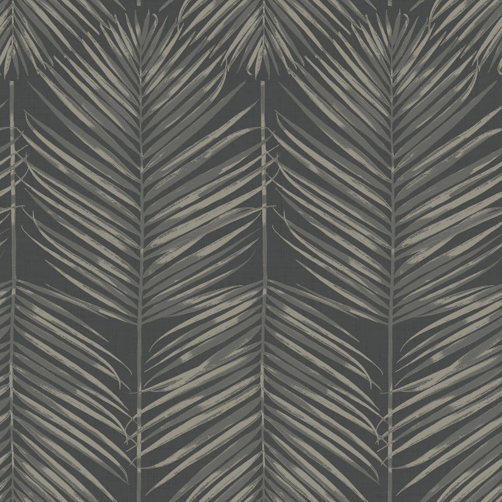 Paradise Palm