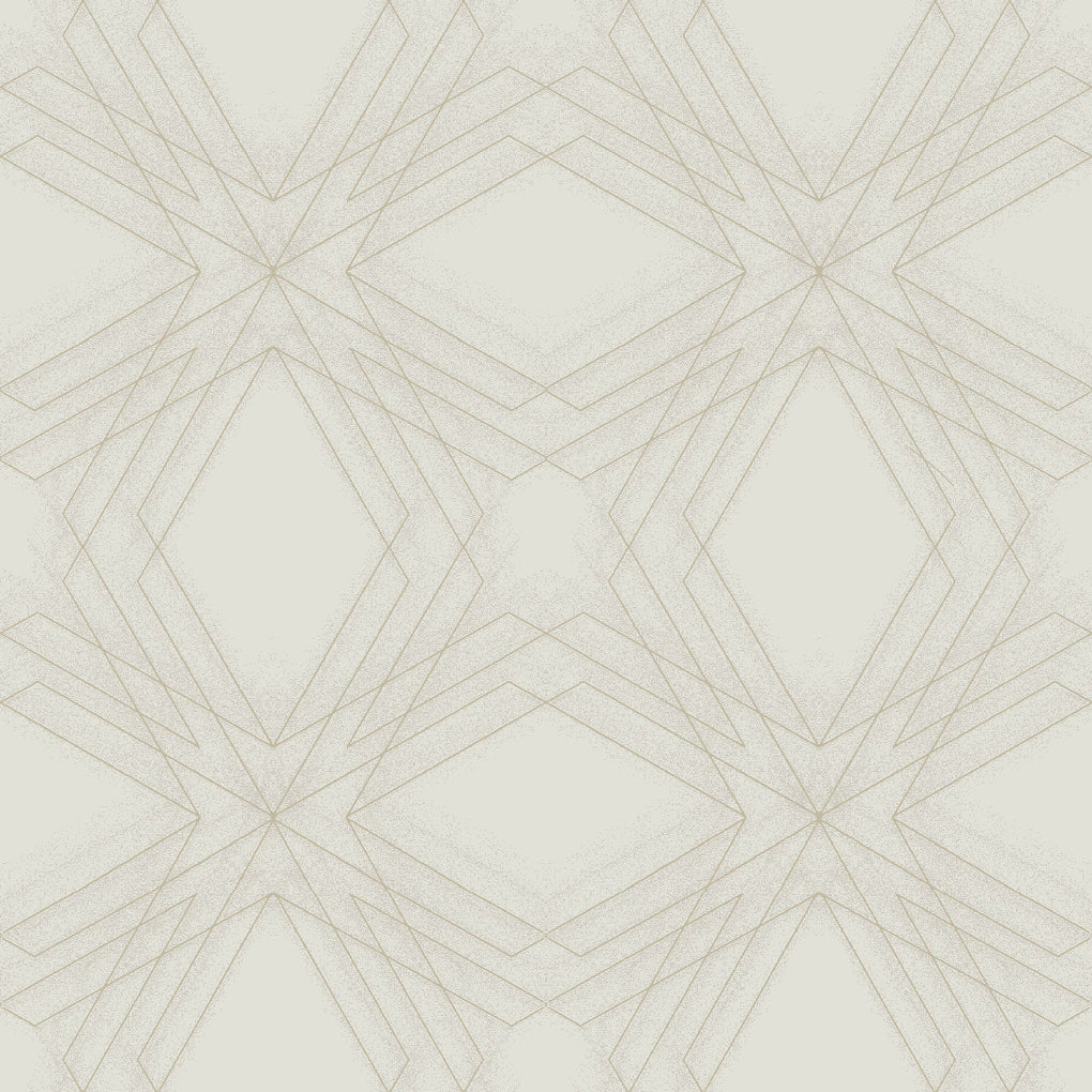 Relativity Geometric