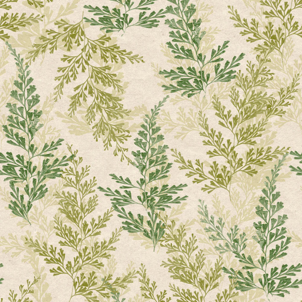 Wild Herbs