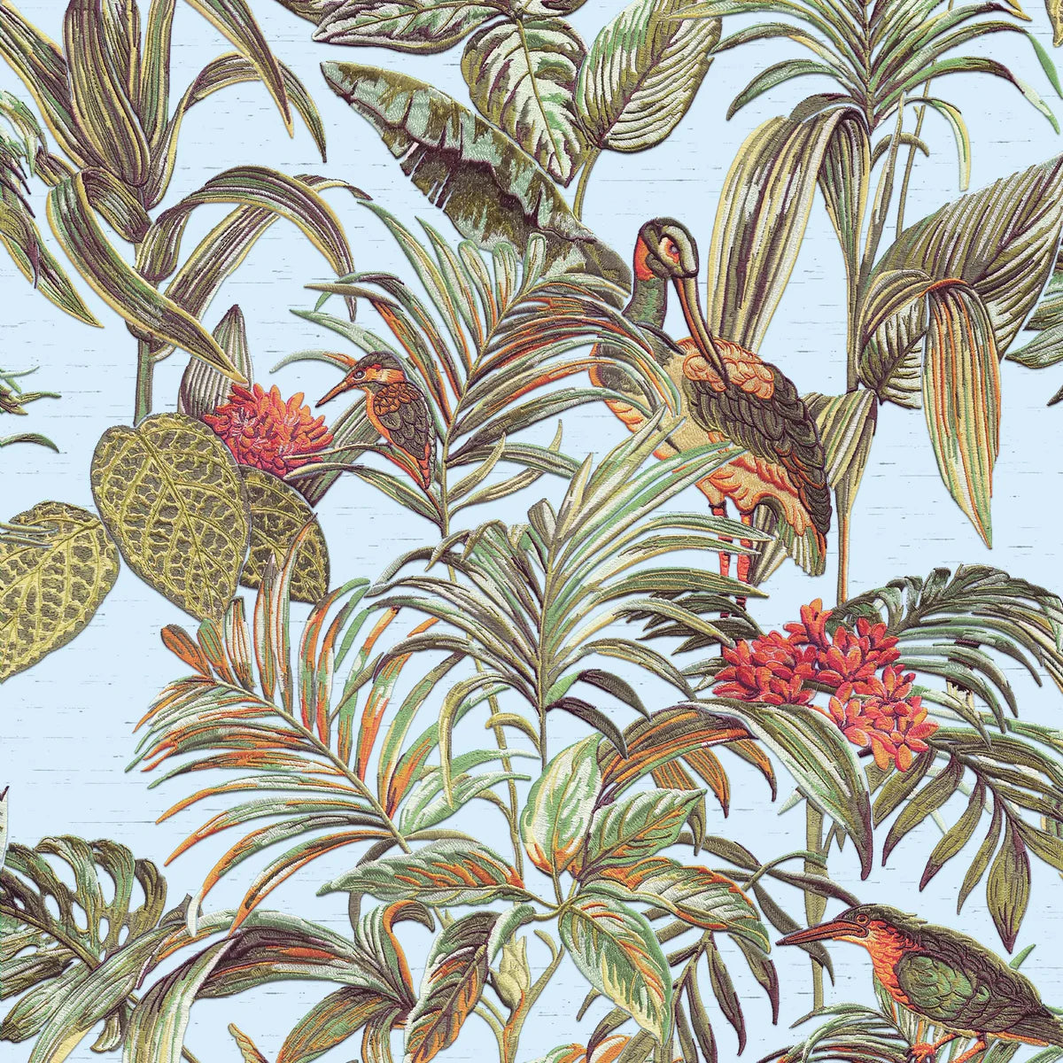 Bird of Paradise