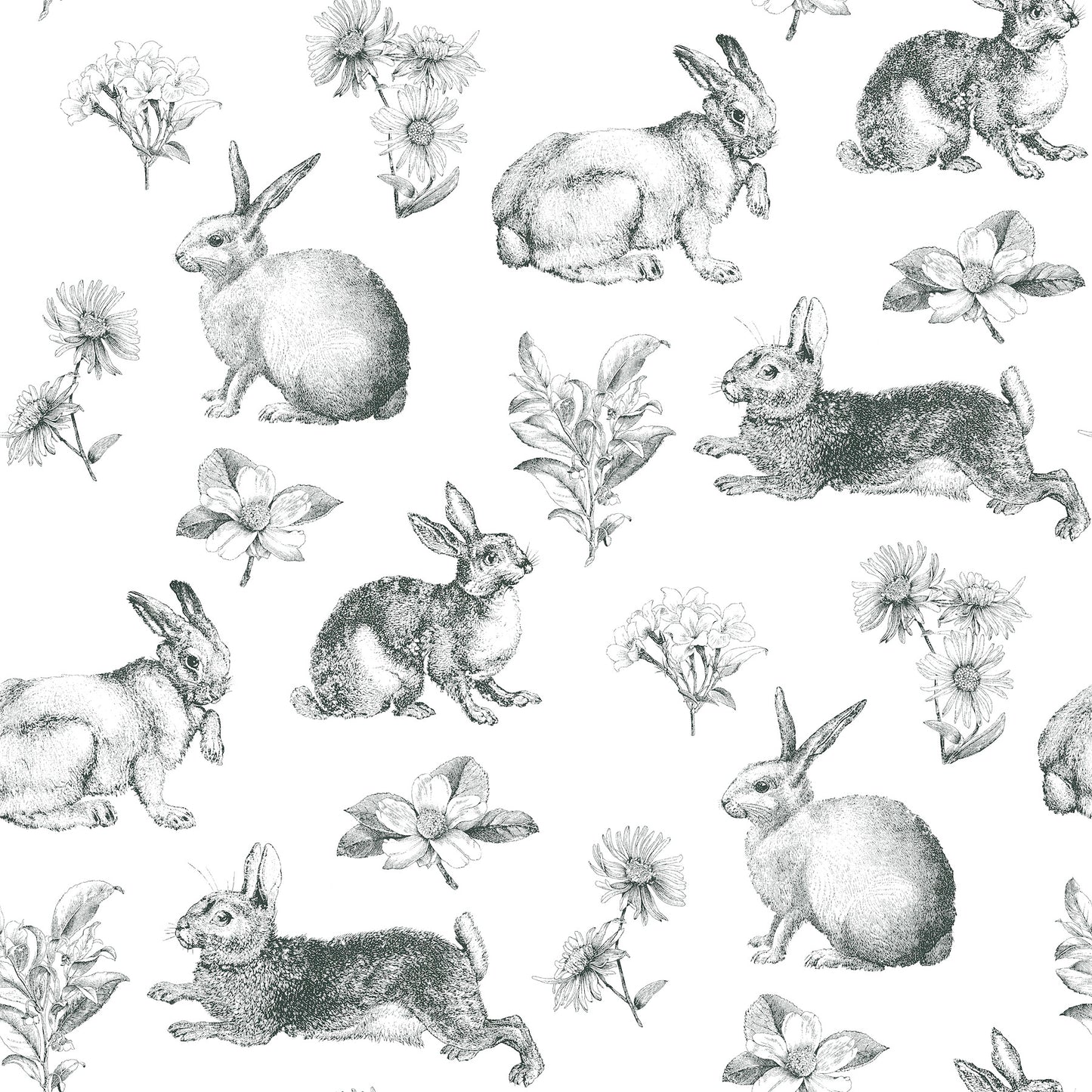 Bunny Toile