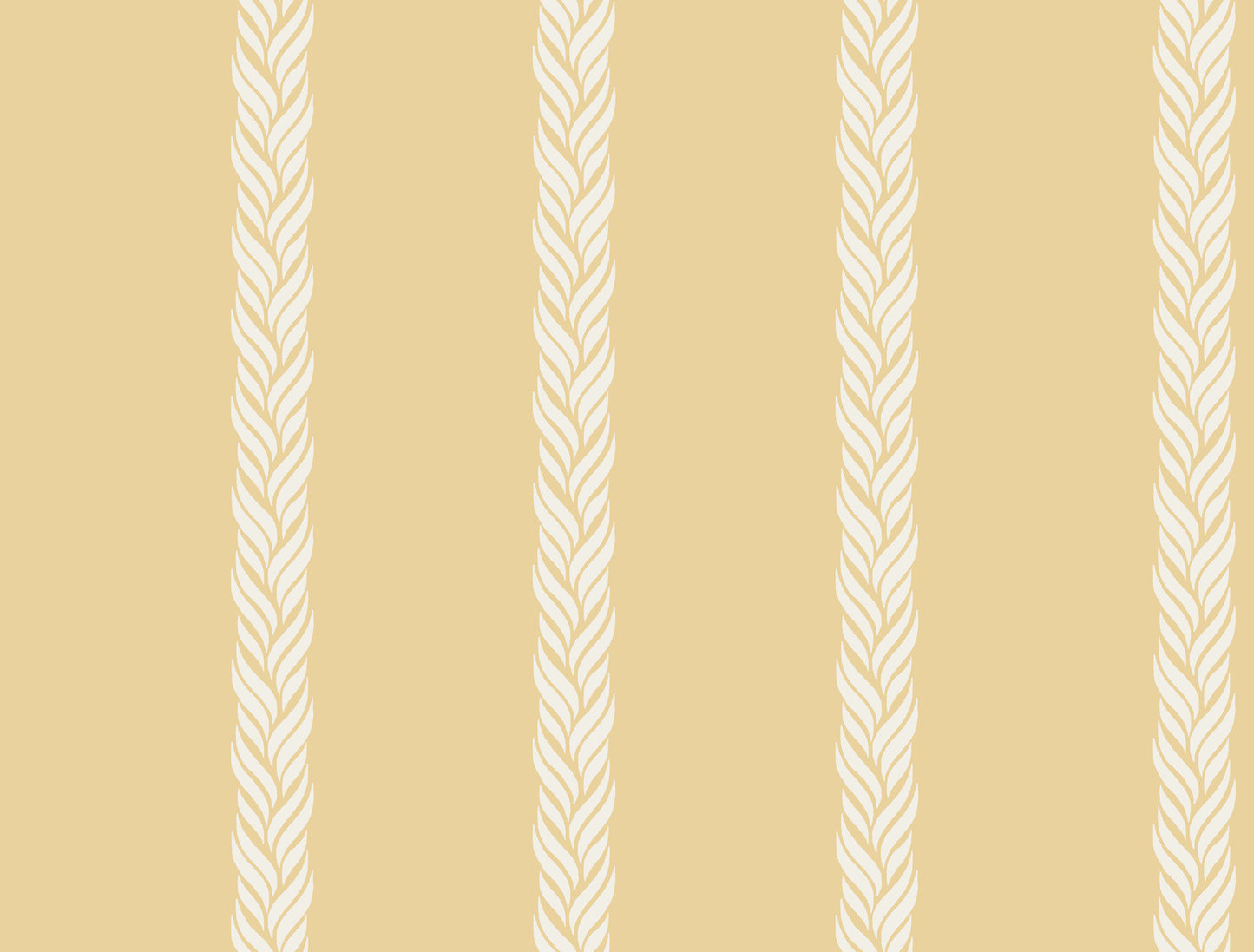Braided Stripe