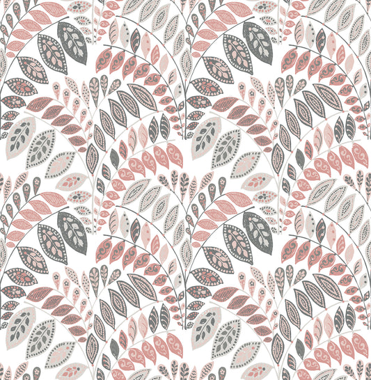 Fiddlehead Botanical