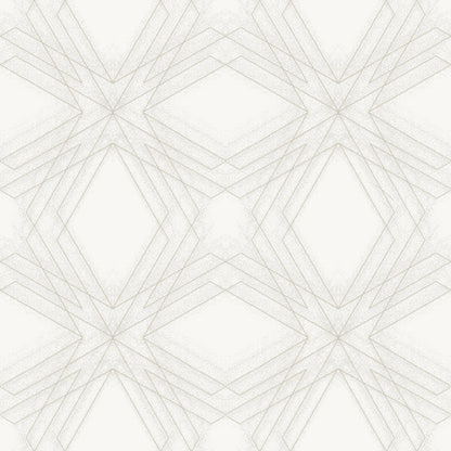 Relativity Geometric