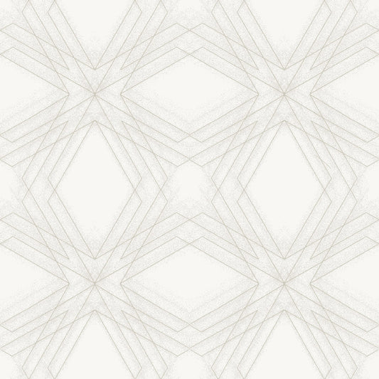 Relativity Geometric