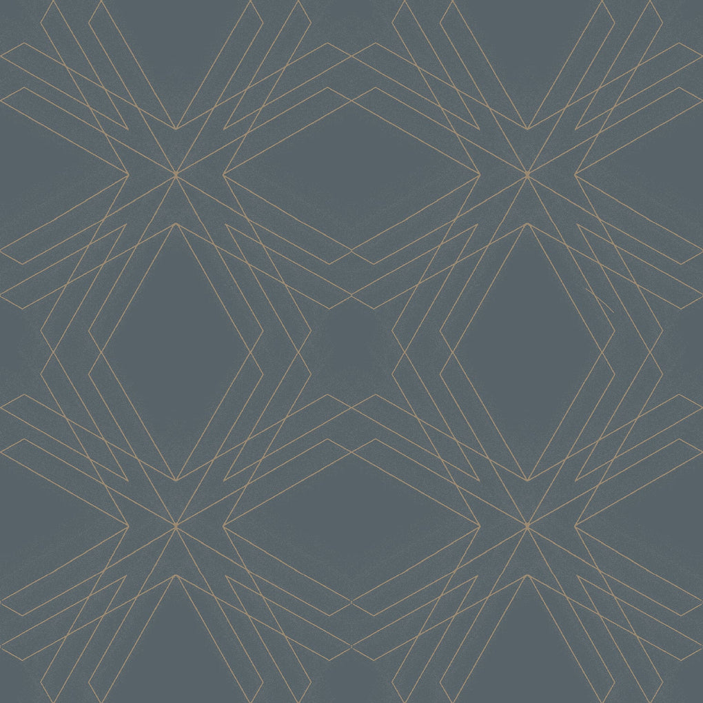 Relativity Geometric