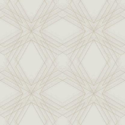 Relativity Geometric