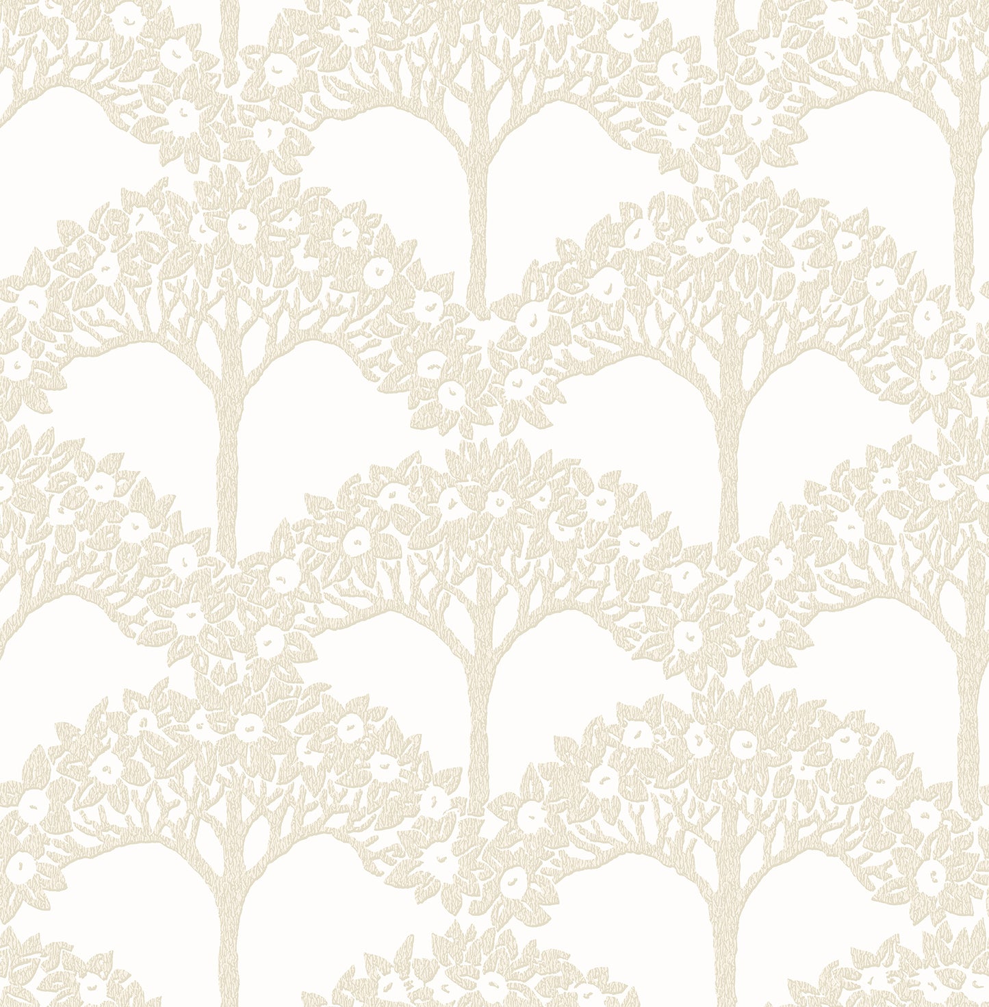 Dawson Magnolia Tree