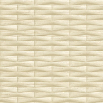 Gator Geometric Stripe