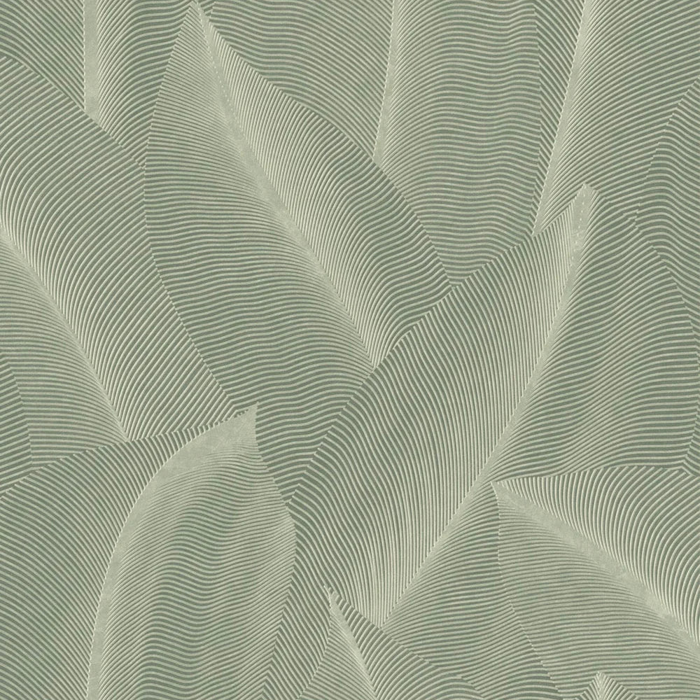 Allure Leaf