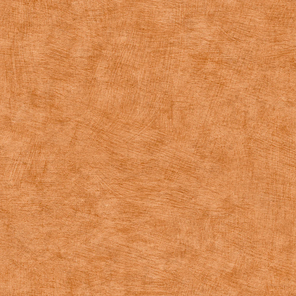 Pampas Plains Brushed Textured