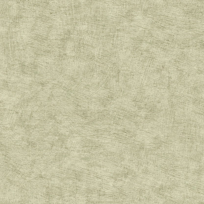 Pampas Plains Brushed Textured