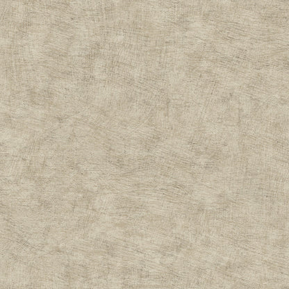 Pampas Plains Brushed Textured