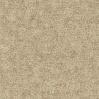 Pampas Plains Brushed Textured