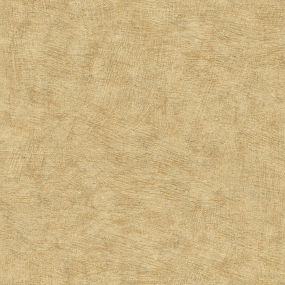 Pampas Plains Brushed Textured