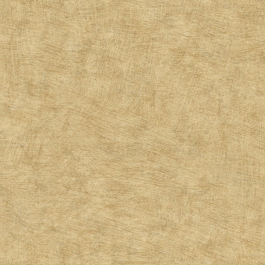 Pampas Plains Brushed Textured