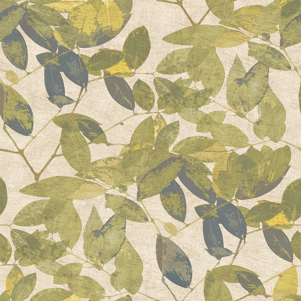 Beech Leaves