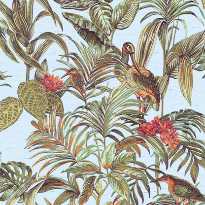 Bird of Paradise