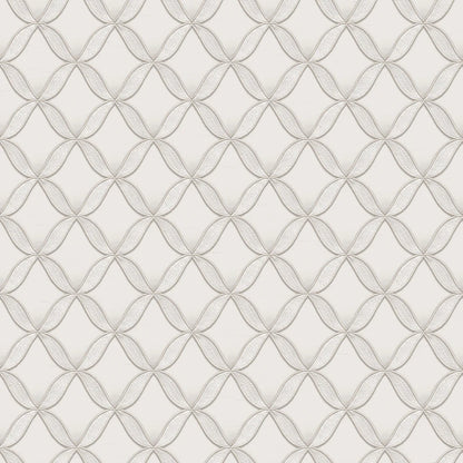 Geometric Trellis