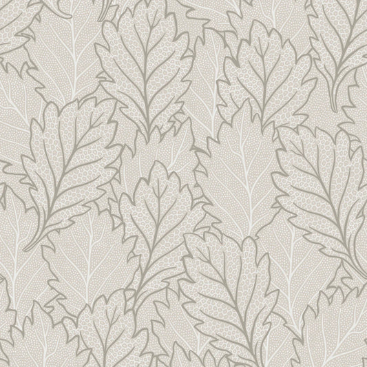 Quercus Leaves