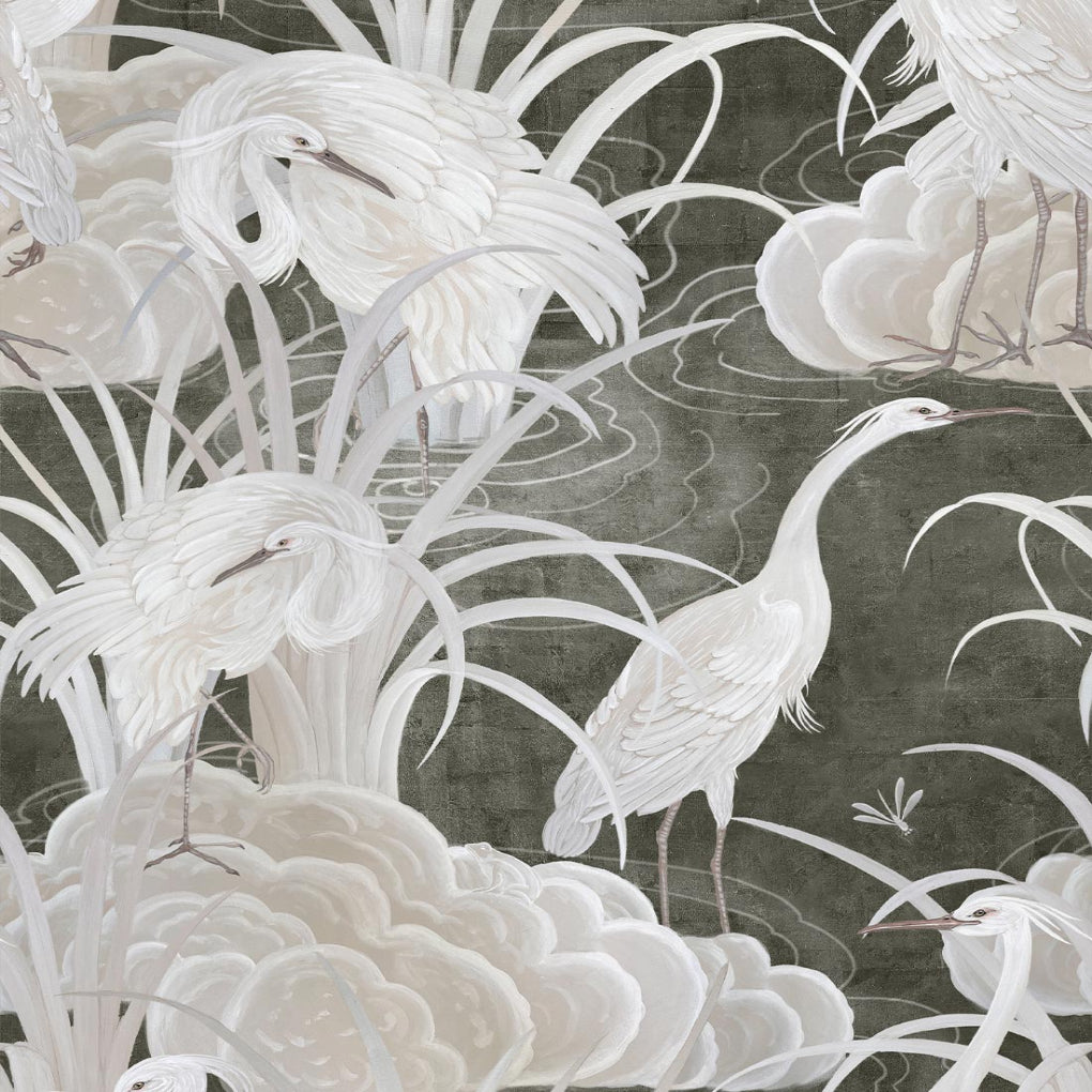 Water Birds