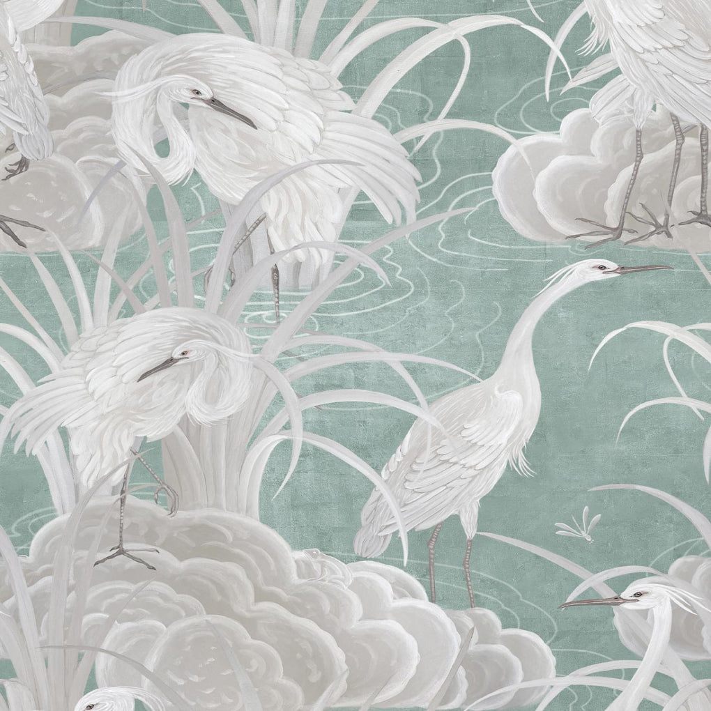 Water Birds