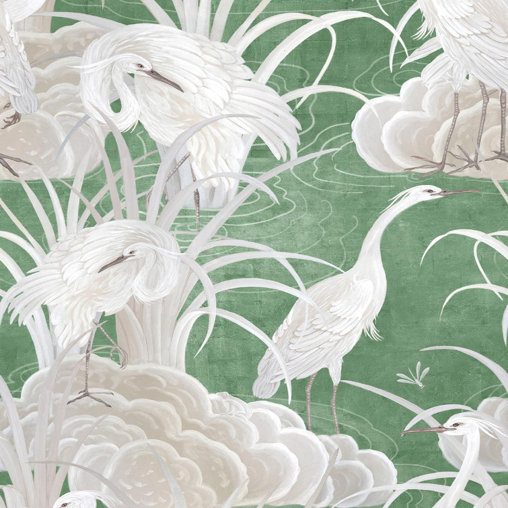 Water Birds