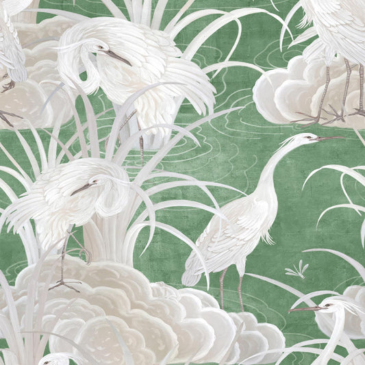 Water Birds