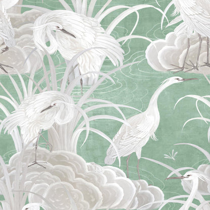 Water Birds