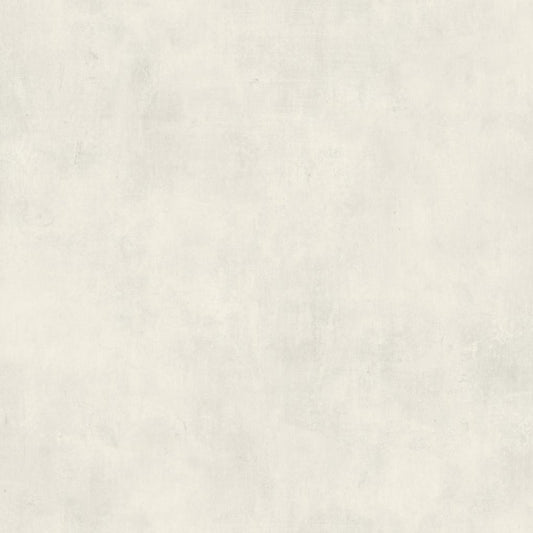 Blanc De Blanc Plaster